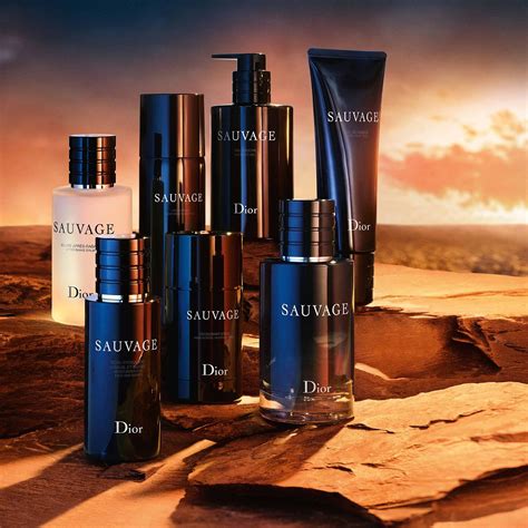 parfum homme dior elixir|dior sauvage.